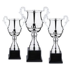 11386_Trophy_1